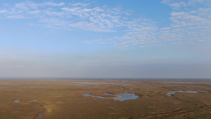 盐城湿地风光