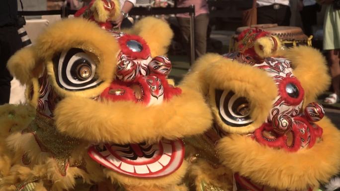 中国的狮子在农历新年表演。