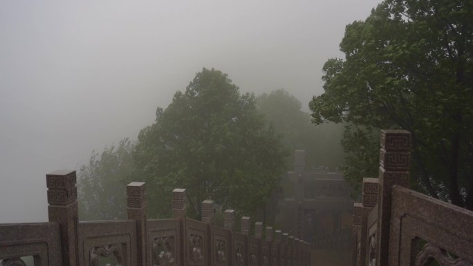 0058狂风暴雨    台风 暴雨