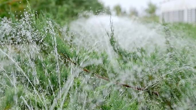 【升格】灌溉浇水自动喷淋