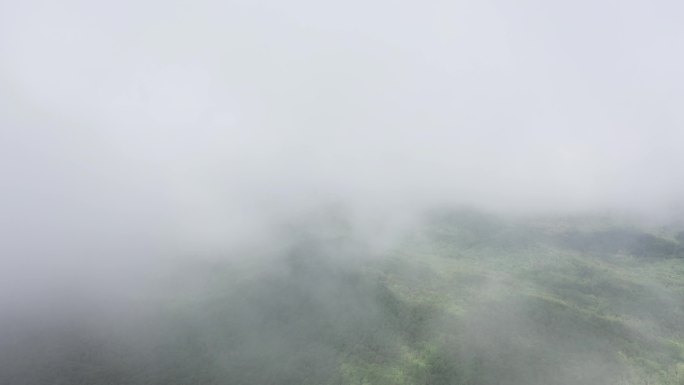 唯美大气 生态自然环境航拍