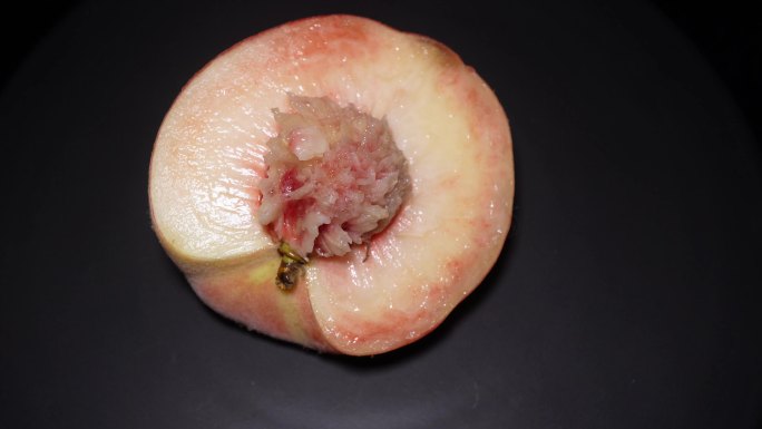 夏季水果桃子久保水蜜桃桃核