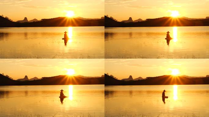 金色自然风景金色湖面夕阳人物人文劳动劳作