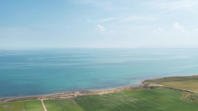 青海 青海湖 油菜花 美丽中国