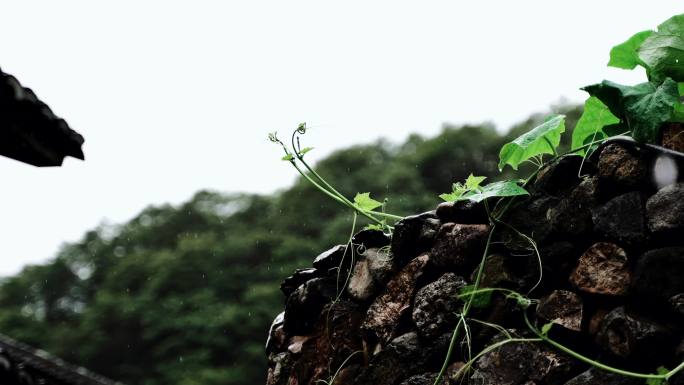 农村雨水