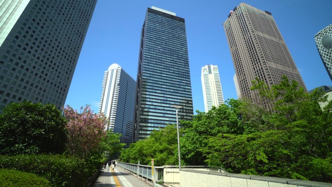 美丽的新绿色植物和城市建筑的全景照片