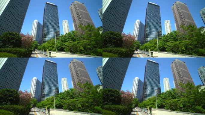 美丽的新绿色植物和城市建筑的全景照片