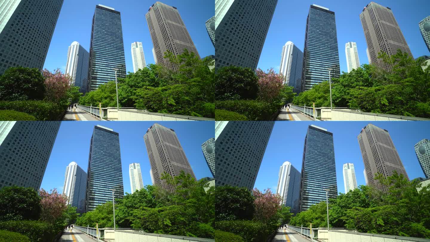 美丽的新绿色植物和城市建筑的全景照片
