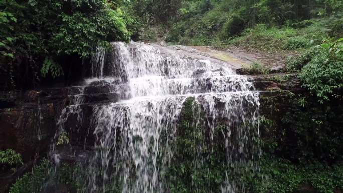 赤水市丹霞森林公园溪流竹海瀑布航拍