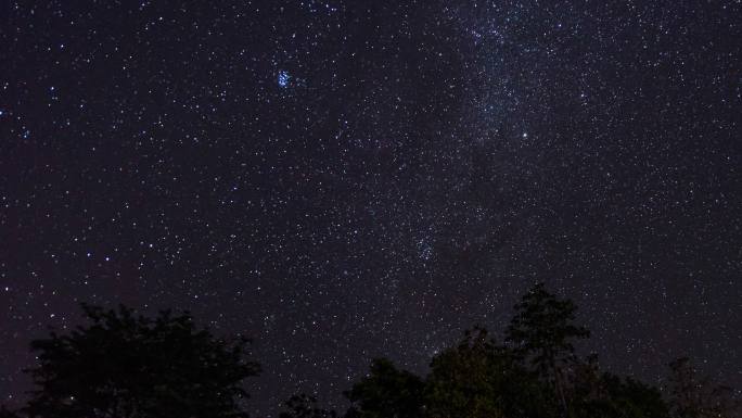 热带森林的T/L夜空，有移动的星星