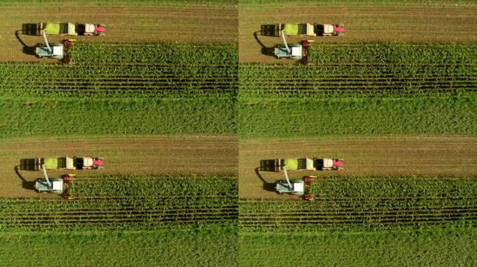 高清：跟踪收割玉米的空中拍摄