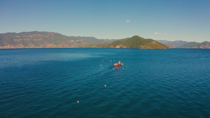 丽江泸沽湖猪槽船海鸥4K高清