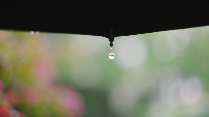 下雨天雨伞水滴慢动作唯美
