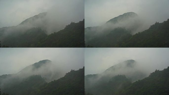 0048下大雨   暴雨 台风 狂风暴雨