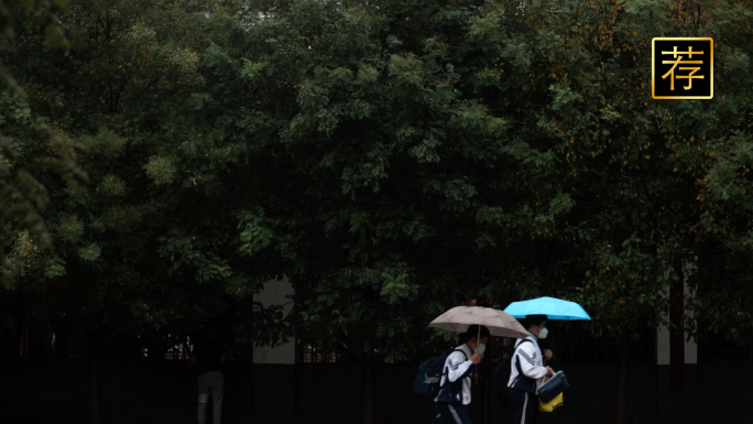 雨天学生上下学 下雨天打伞 青春文艺
