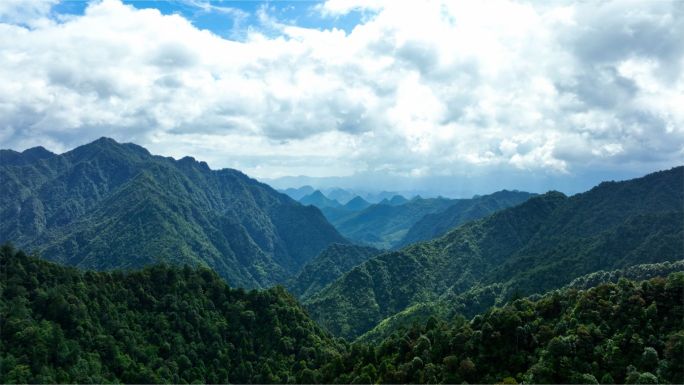 大自然 原始森林  山水