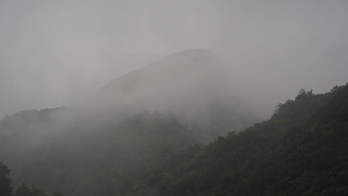 0049下大雨   暴雨 台风 狂风暴雨