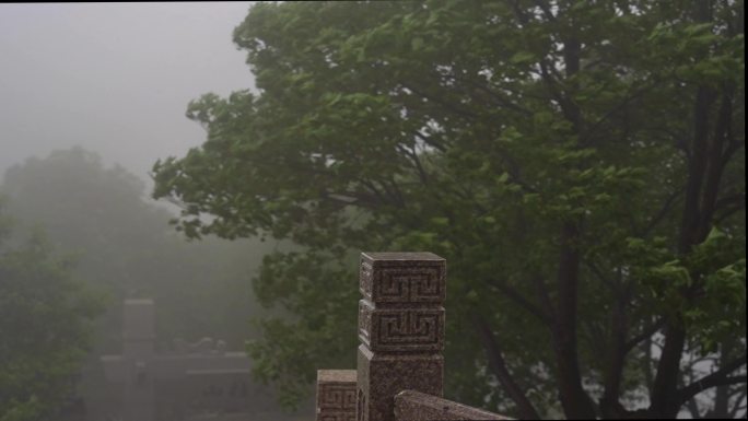 0056狂风暴雨    台风