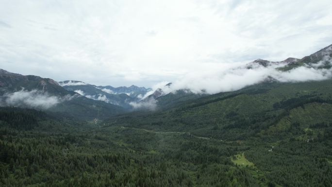 高山 云雾 美丽中国 宏伟 广阔