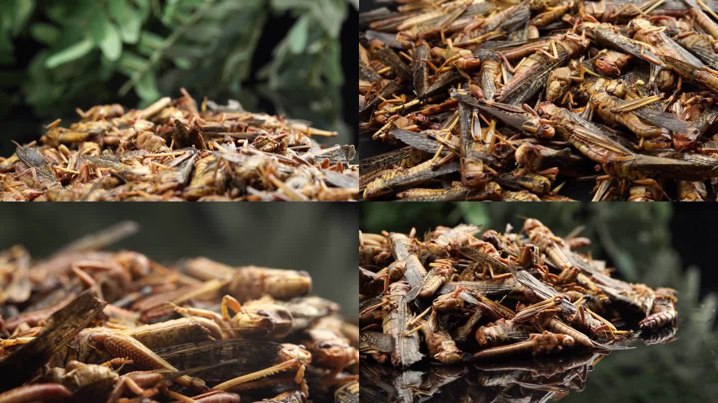 土蚂蚱蝗虫肉食材