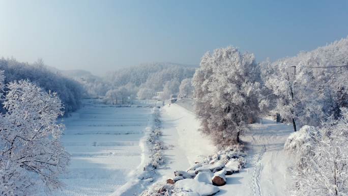 雾凇 冬季 冰雪世界 山水中国