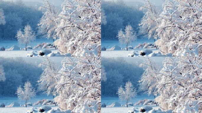 雾凇 冬季 冰雪世界 山水中国