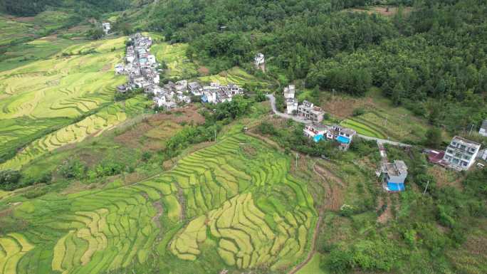 美丽乡村 乡村振兴 梯田 农田 农业