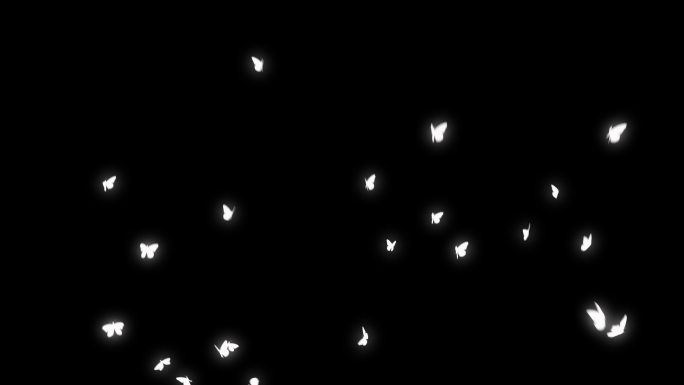 一群发光蝴蝶飞舞转场过渡装饰