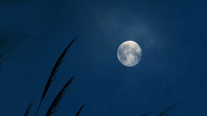 野外荒草月亮
