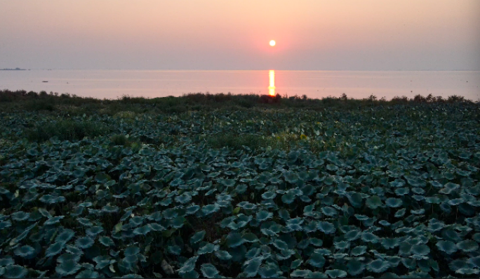 洪湖唯美洪湖宣传片夕阳下洪湖航拍