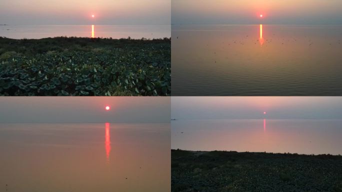 洪湖唯美洪湖宣传片夕阳下洪湖航拍