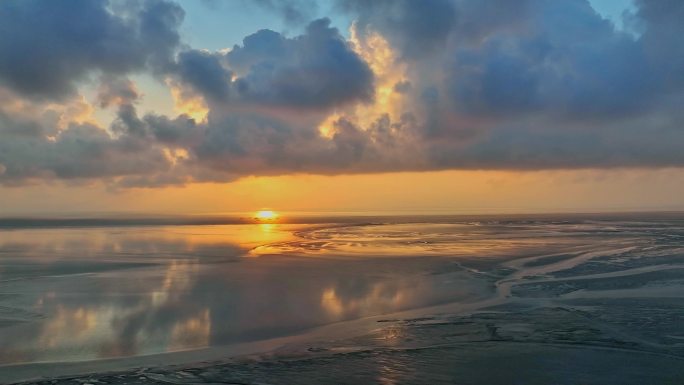 江苏盐城条子泥海涂湿地潮汐树景观