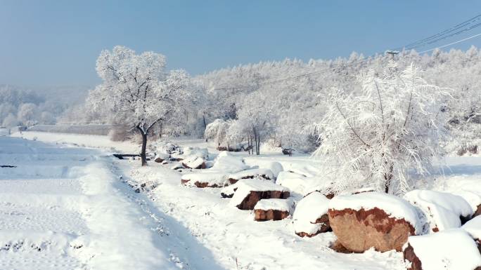 雾凇 冬季 冰雪世界 山水中国