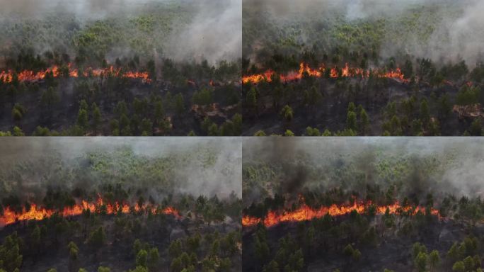 鸟瞰卡车：森林火灾（野火）、燃烧、吸烟和造成空气污染