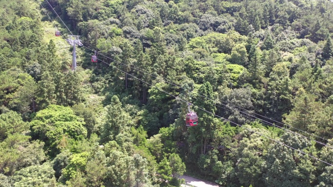 森林索道缆车航拍树林俯拍