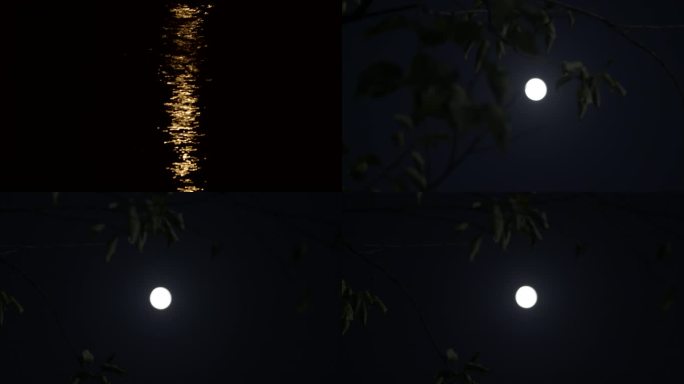 夜晚满月