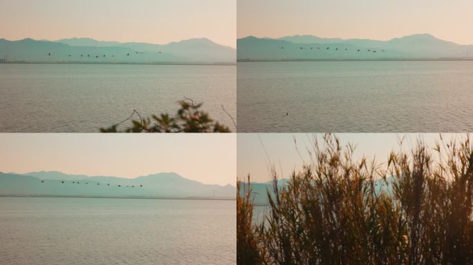 鸟瞰撒丁岛海岸的慢镜头。