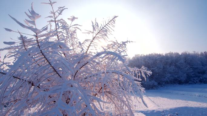 雾凇 冬季 冰雪世界 山水中国