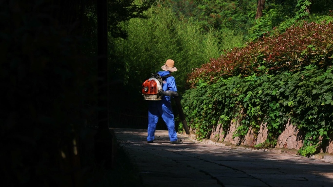 山上锄草修剪