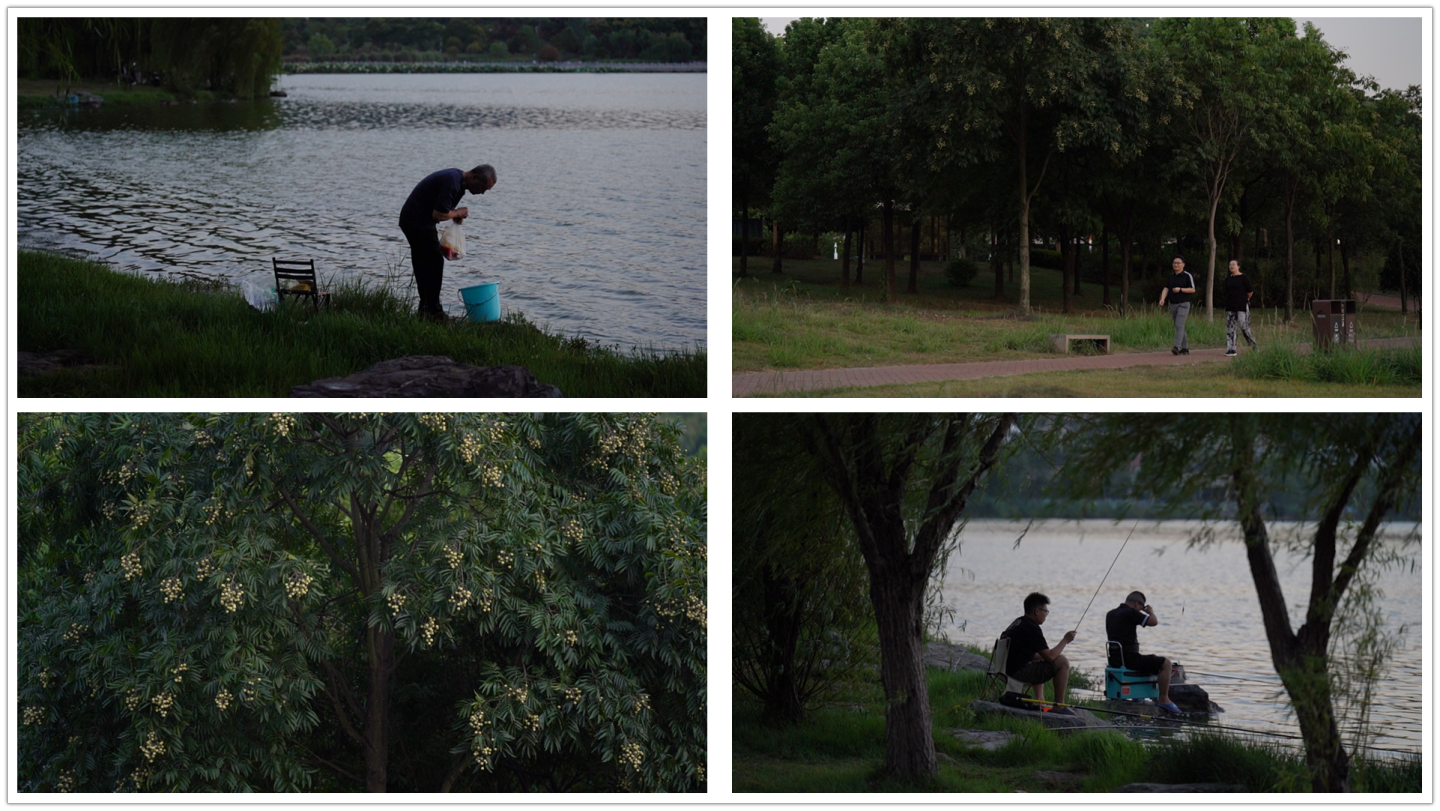 傍晚湖边散步钓鱼