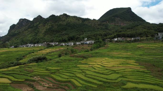 美丽乡村 乡村振兴 梯田 农田 农业