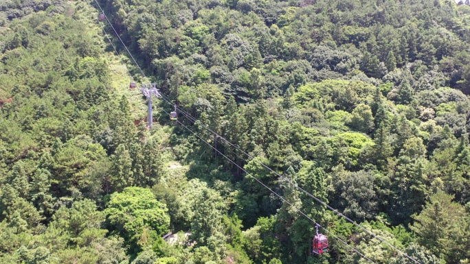 森林索道缆车航拍树林俯拍