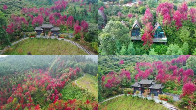 什邡市红枫岭航拍