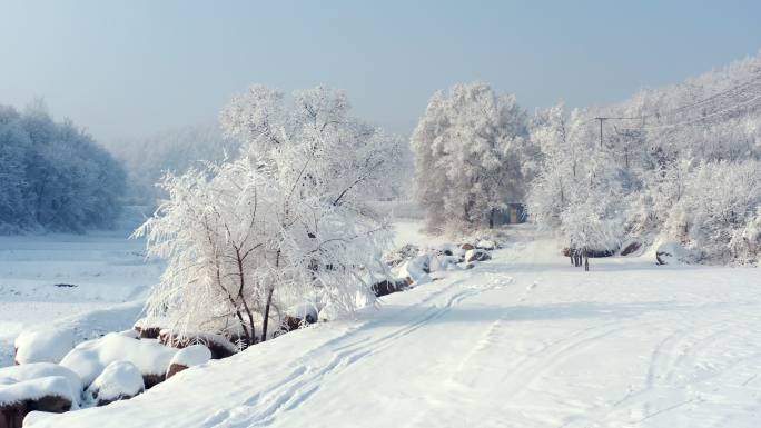 雾凇 冬季 冰雪世界 山水中国