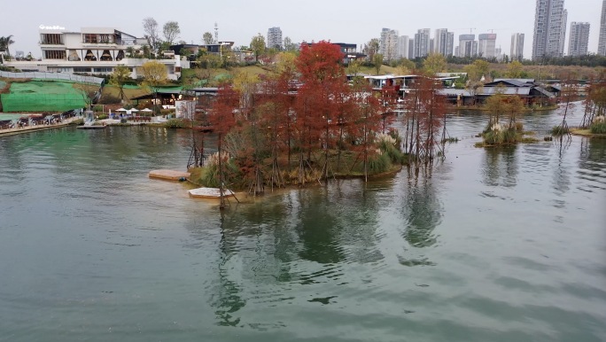 成都麓湖秋色