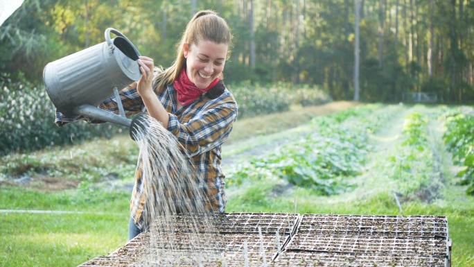 在家庭农场浇水盘上工作的妇女