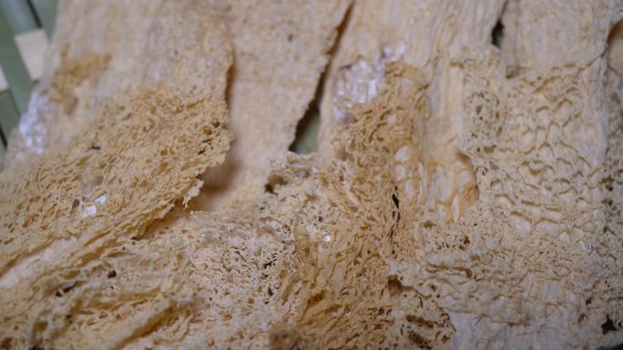 竹荪干货蘑菇土特产农产品煲汤