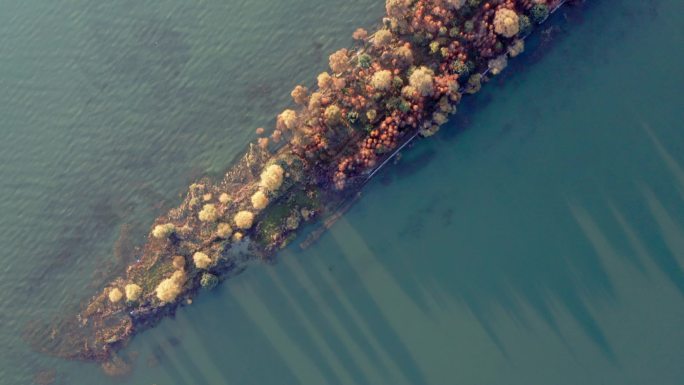 大理洱海海舌生态公园4K高清