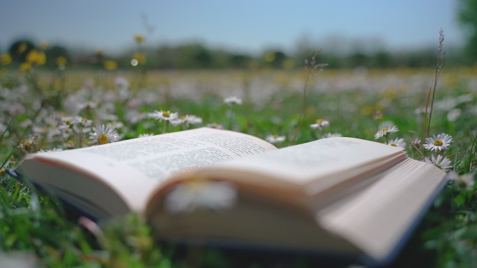 草地上的书花丛中的树读书知识