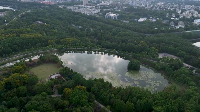 航拍钟山风景区燕雀湖风光